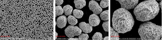 電池の陰極の物質的なリチウム ニッケルのマンガンのコバルトの酸化物の前駆物質NMCの前駆物質